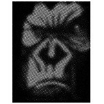 gorilla t-shirts