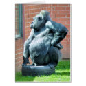 GORILLAS cards