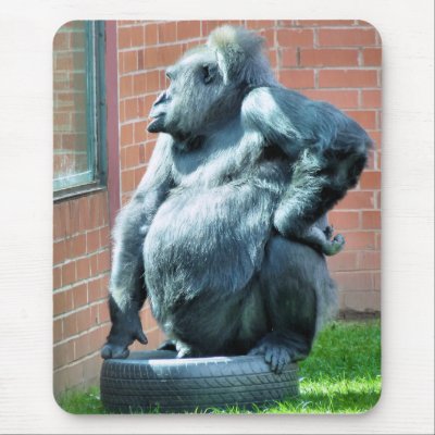 GORILLAS MOUSE MAT by thewildside
