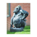 GORILLAS postcards