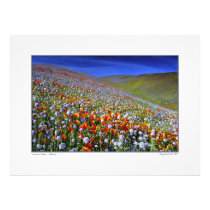 Gorman Valley - California Art Photo