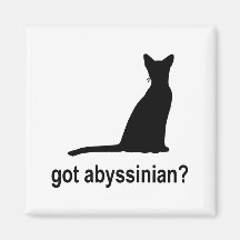 Got Abyssinian? Magnets