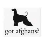 got afghans? postcards