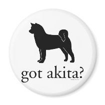 got akitas? refrigerator magnet