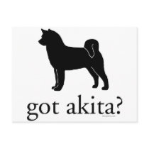 got akitas? post cards