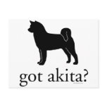 got akitas? postcards