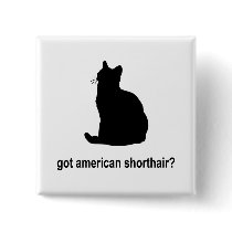 Got American Shorthair? Pinback Button