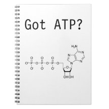 Got ATP? Notebook