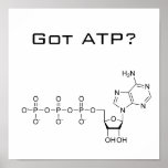 Got ATP? Poster