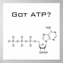 Got ATP? Poster