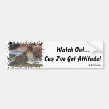 Got Attitude! Squirrel Bumper Stickers