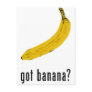 Got Banana? Post Card