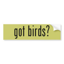 got birds?
