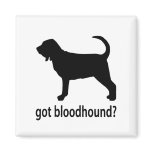Got Bloodhound Magnet