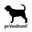 Got Bloodhound t-shirts