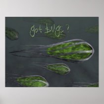 Got Bugs? Posters