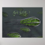 Got Bugs? Posters
