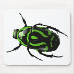 Got Bugs-Wild Colored Beetle Mouse Mats