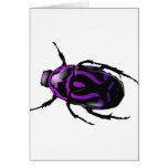Got Bugs-Wild Coloured Beetle