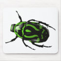 Got Bugs-Wild Coloured Beetle mousepads