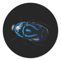 Got Bugs-Wild Coloured Beetle