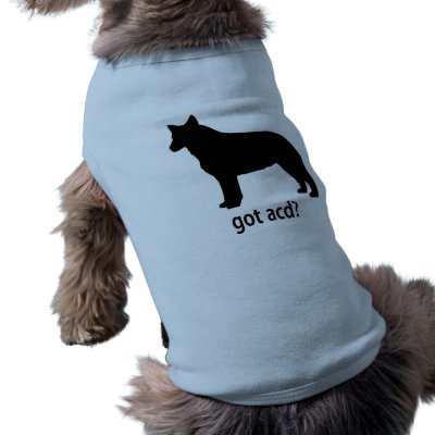 Got Cattle Dog Dog Tee by dogwiregifts