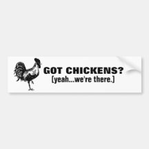 GOT CHICKENS? BUMPER STICKERS