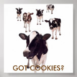 GOT COOKIES? posters