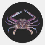Got Crabs? nice sea crab-dinner time Round Stickers