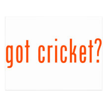got cricket? post card