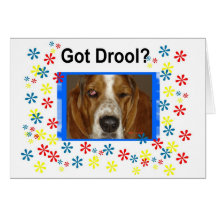 Got Drool Card