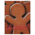 got gingerbread? flyers