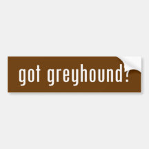 got greyhound? bumper sticker