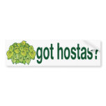 got hostas? bumper stickers