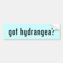 got hydrangea? bumper stickers