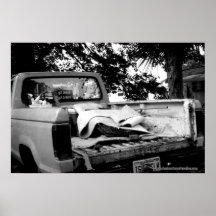 Got Jesus? Posters