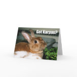 Got Karpas? cards