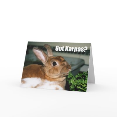 Got Karpas? Card by peelapom