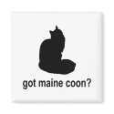 Got Maine Coon? magnets