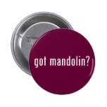 got mandolin? pin