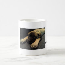 got mastiff? mug