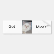 Got Mice? Bumper Sticker