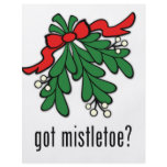 got mistletoe? flyers