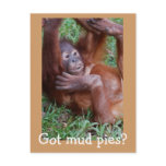 Got mud pies? postcards