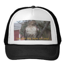 Got My Eye on You Hawk Humour Trucker Hat