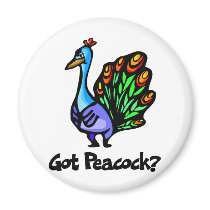 Got Peacock Magnet