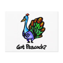 Got Peacock Post Card