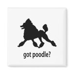 Got Poodle magnets