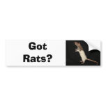 Got Rats?, Got Rats? bumper stickers