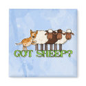 got sheep magnets